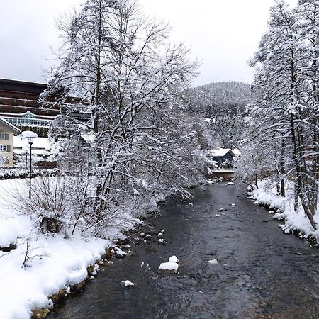 Ferienwohnung, Sauna & Gaestekarte Gratis Im Schwarzwald Baiersbronn Buitenkant foto