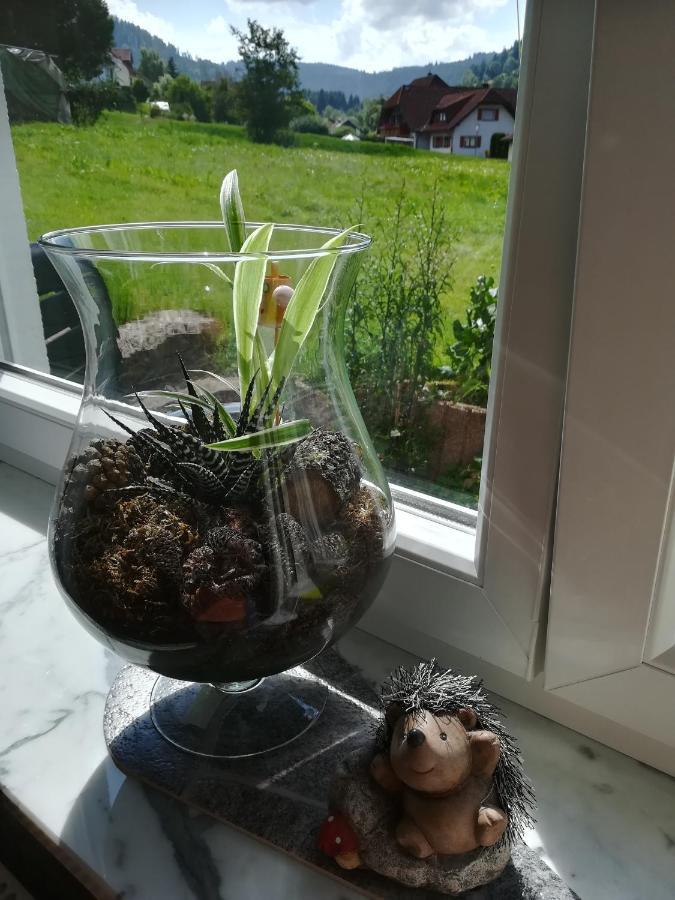 Ferienwohnung, Sauna & Gaestekarte Gratis Im Schwarzwald Baiersbronn Buitenkant foto