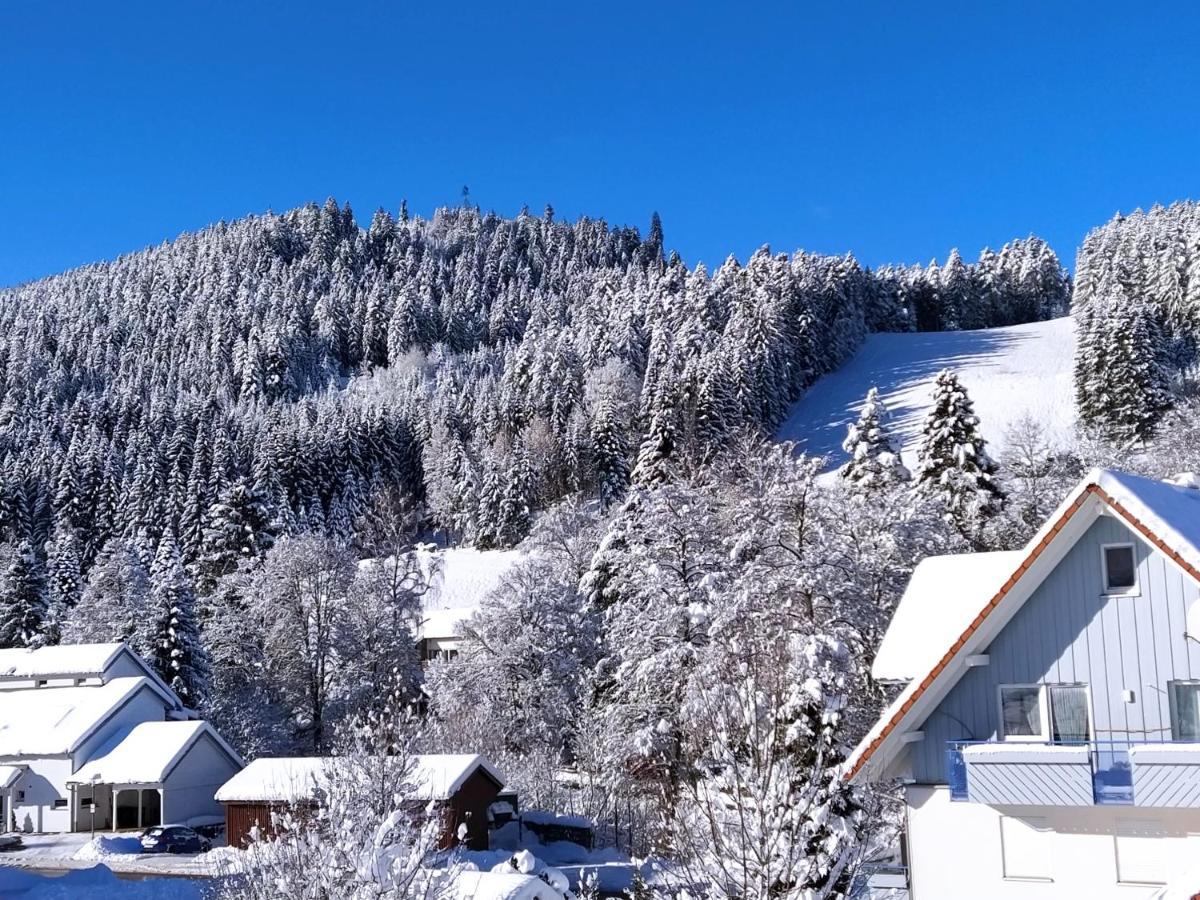 Ferienwohnung, Sauna & Gaestekarte Gratis Im Schwarzwald Baiersbronn Buitenkant foto