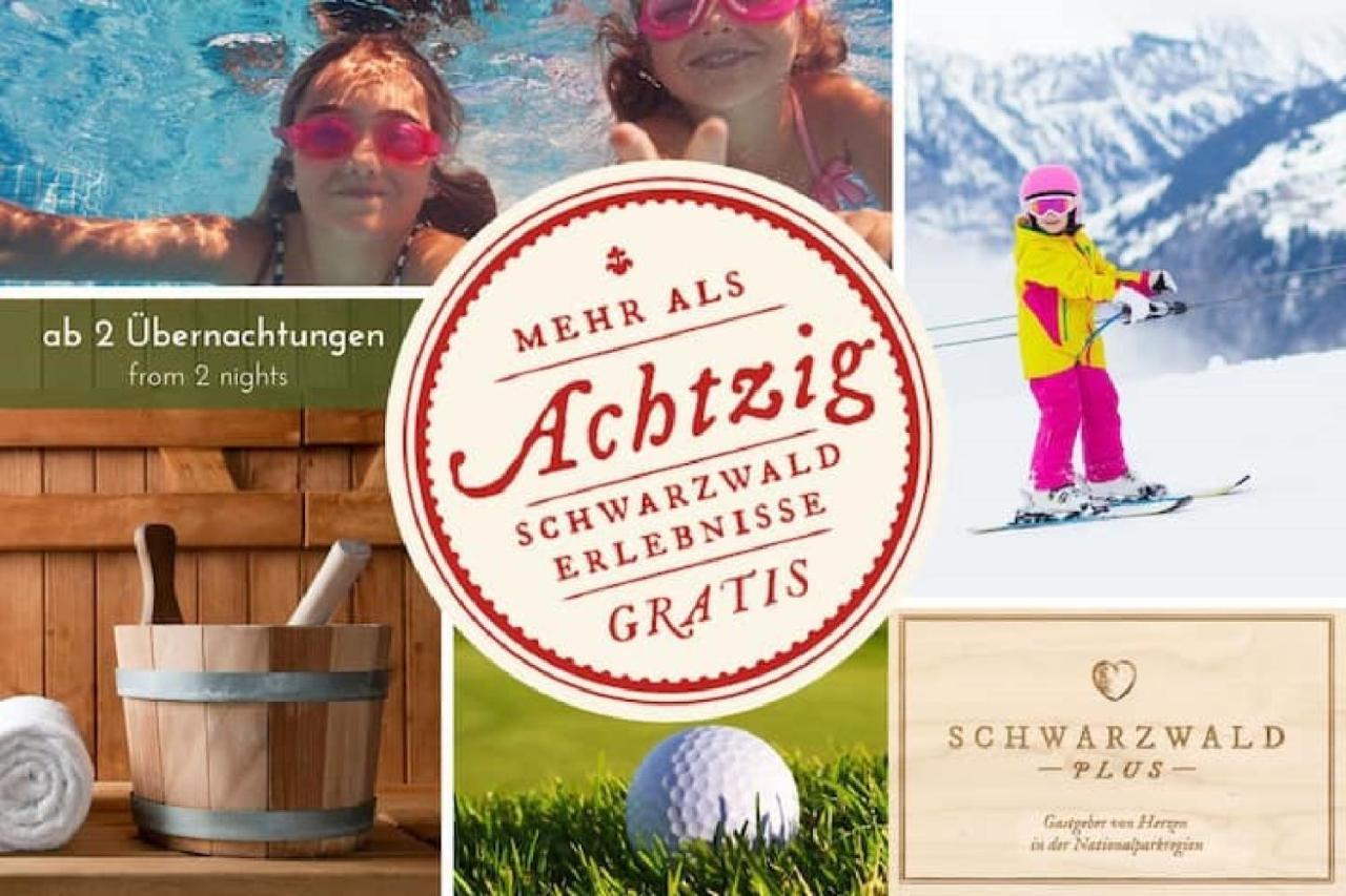 Ferienwohnung, Sauna & Gaestekarte Gratis Im Schwarzwald Baiersbronn Buitenkant foto