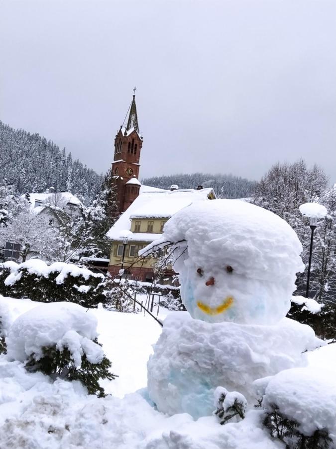 Ferienwohnung, Sauna & Gaestekarte Gratis Im Schwarzwald Baiersbronn Buitenkant foto