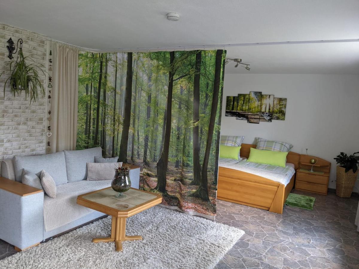 Ferienwohnung, Sauna & Gaestekarte Gratis Im Schwarzwald Baiersbronn Buitenkant foto