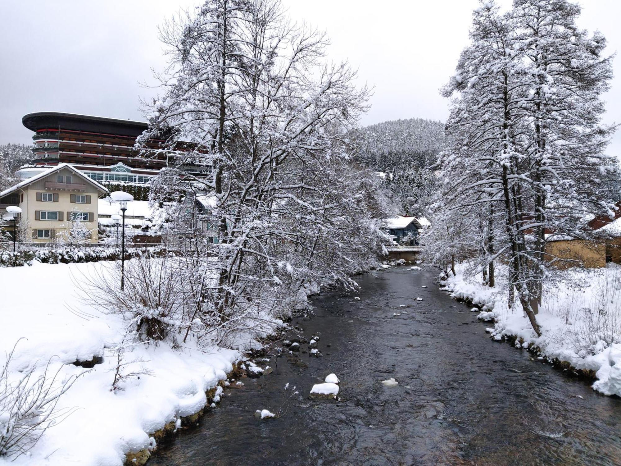 Ferienwohnung, Sauna & Gaestekarte Gratis Im Schwarzwald Baiersbronn Buitenkant foto